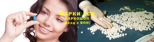стафф Майский