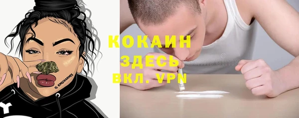 ешки Алзамай