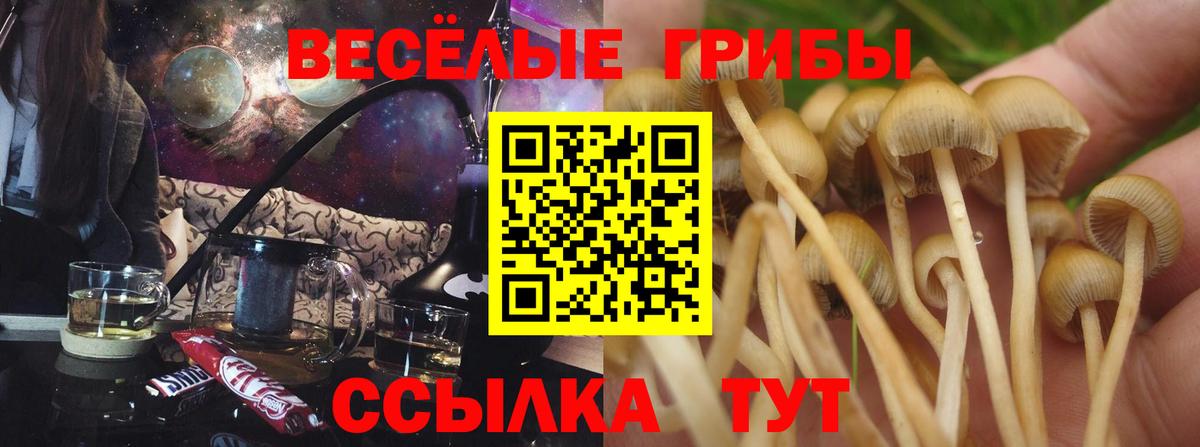 Галлюциногенные грибы Cubensis  Вход с VPN  Сургут  Псилоцибиновые грибы ЛСД 